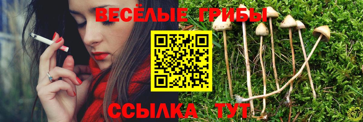 Псилоцибиновые грибы мухоморы Нефтекамск